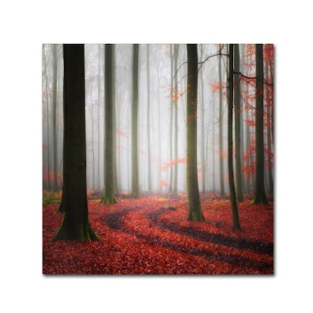 Carsten Meyerdierks 'Autumnal Tracks' Canvas Art,24x24